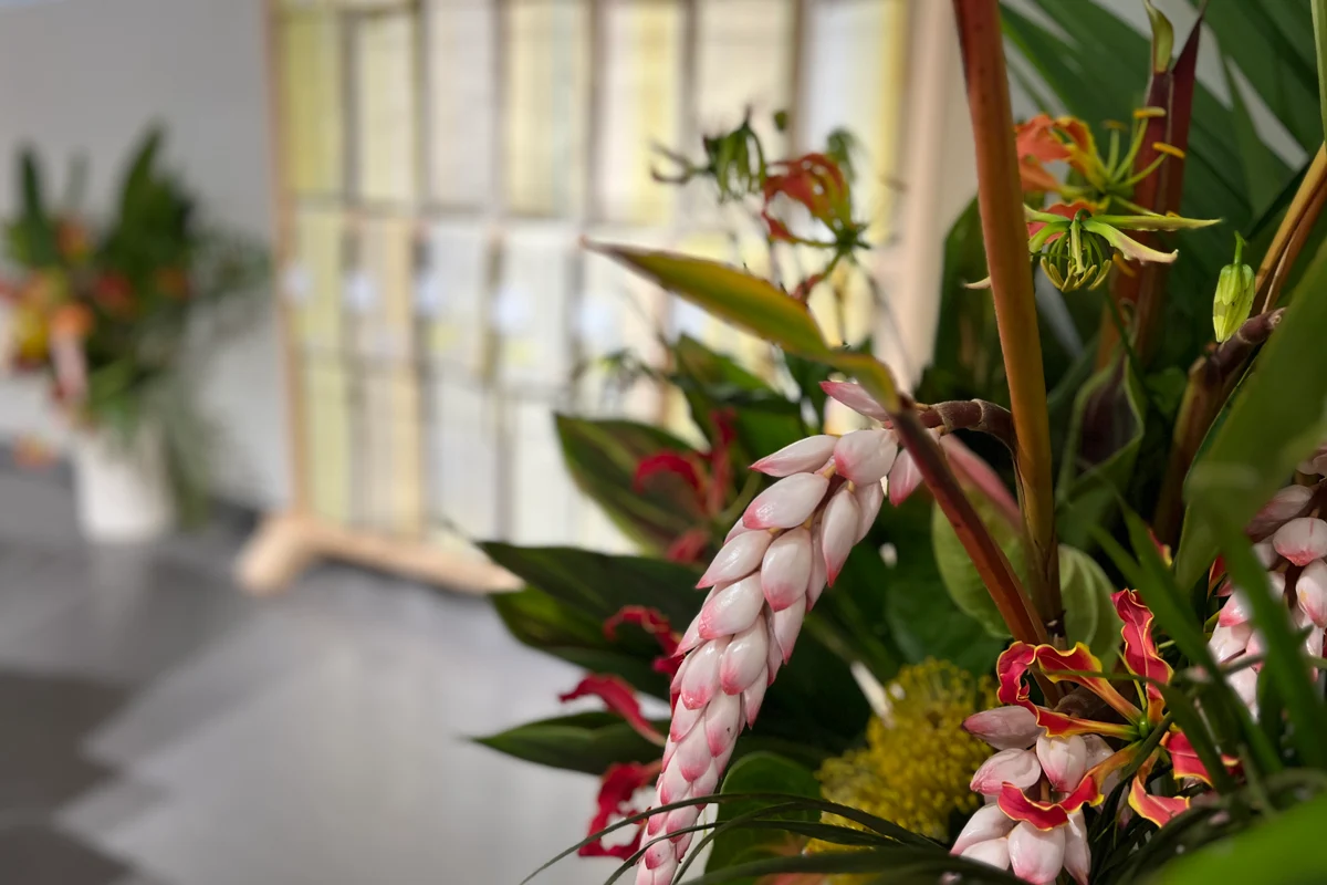 ミンサーコンクール展示