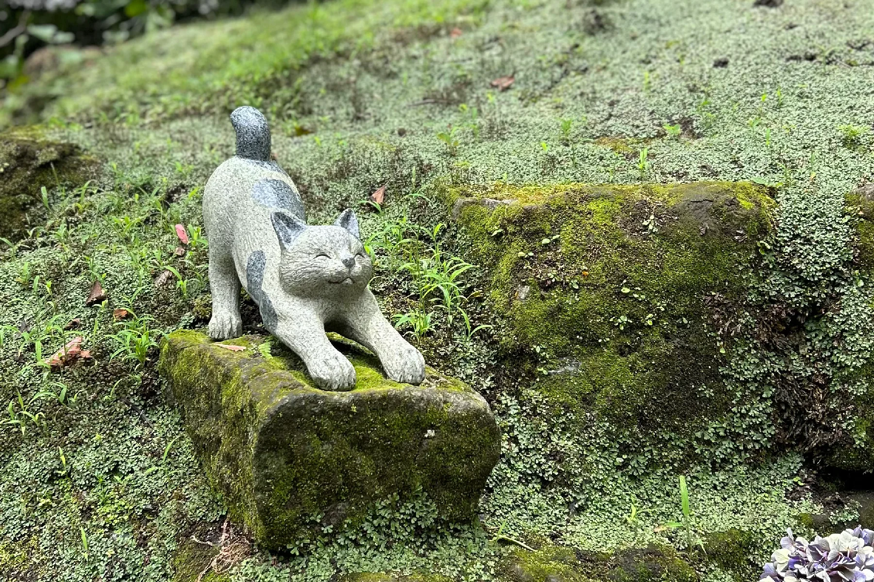 仙巌園 04