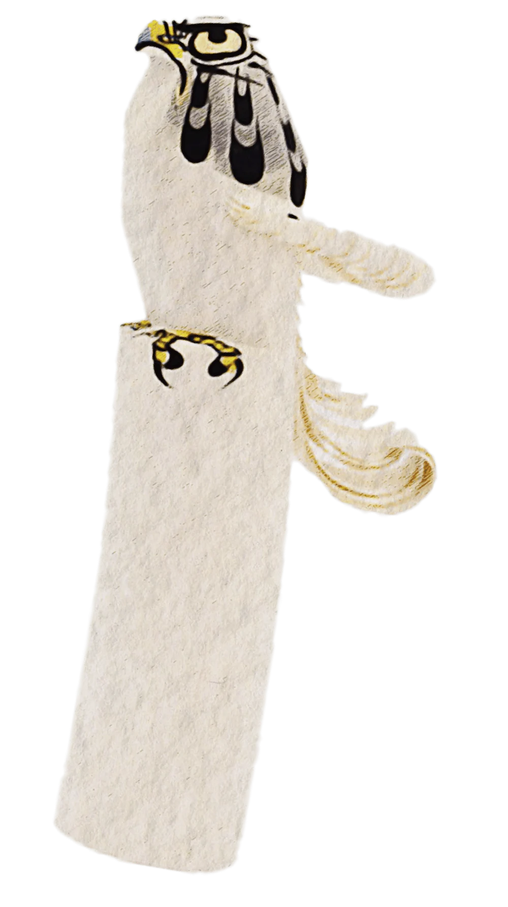 いらすと