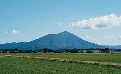 茨城県 結城市、常総市 茨城のぬくいきものとぬくい人々