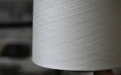 滋賀県 近江（湖東地域） 近江ちぢみ