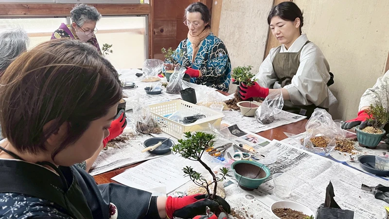 イオンモール水戸内原店 「盆栽日和 inForestaいわま」