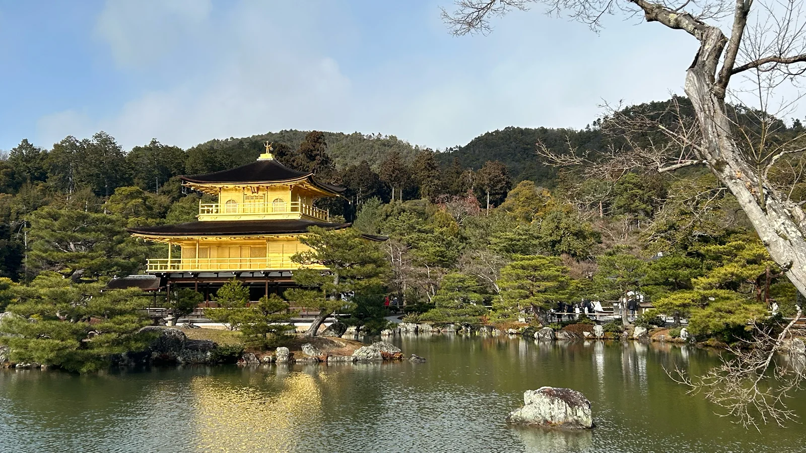 京都の歴史を感じられる場所へも