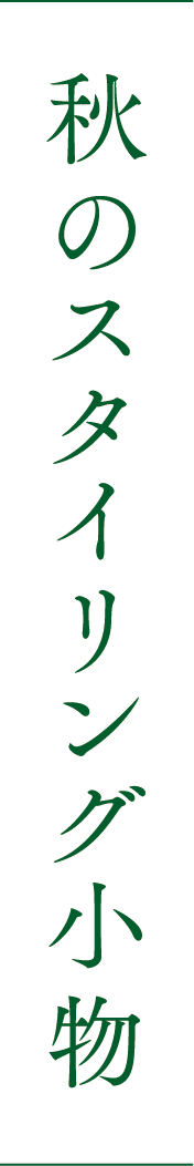 秋のスタイリング小物