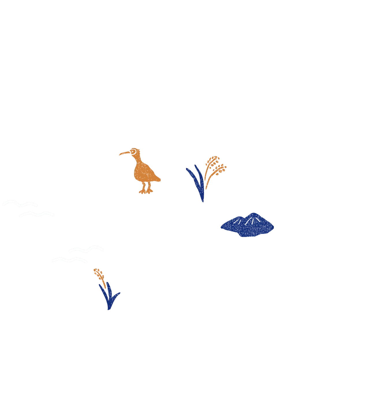 越後きものさんちマップイラスト