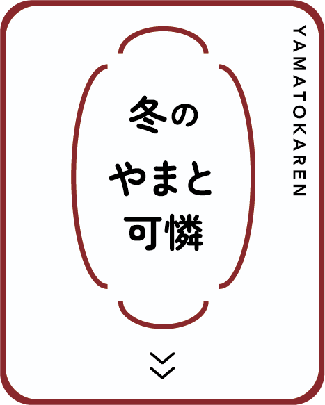 冬のやまと可憐