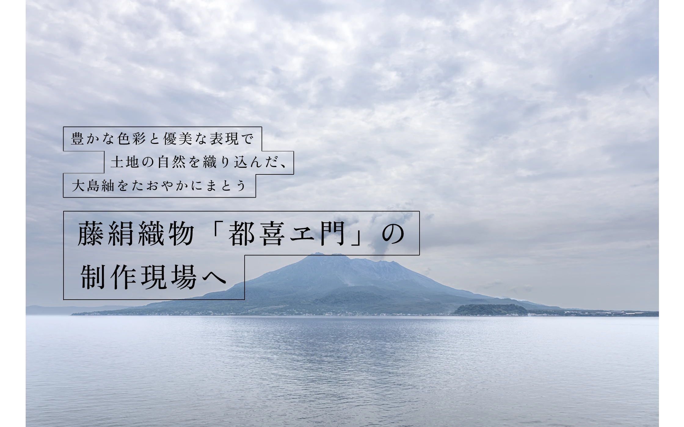 豊かな色彩と優美な表現で土地の自然を織り込んだ、大島紬をたおやかにまとう 藤絹織物「都喜ヱ門」の制作現場へ