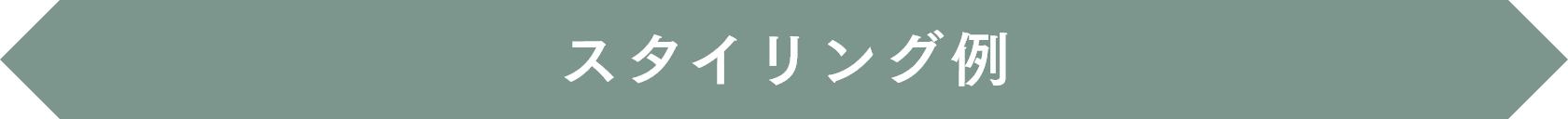 スタイリング例