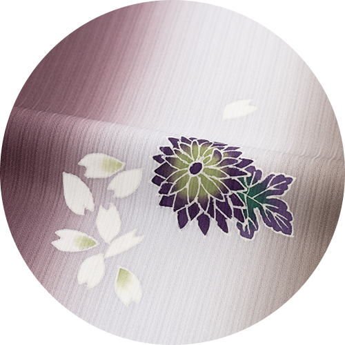 菊と桜散らし　紫紺