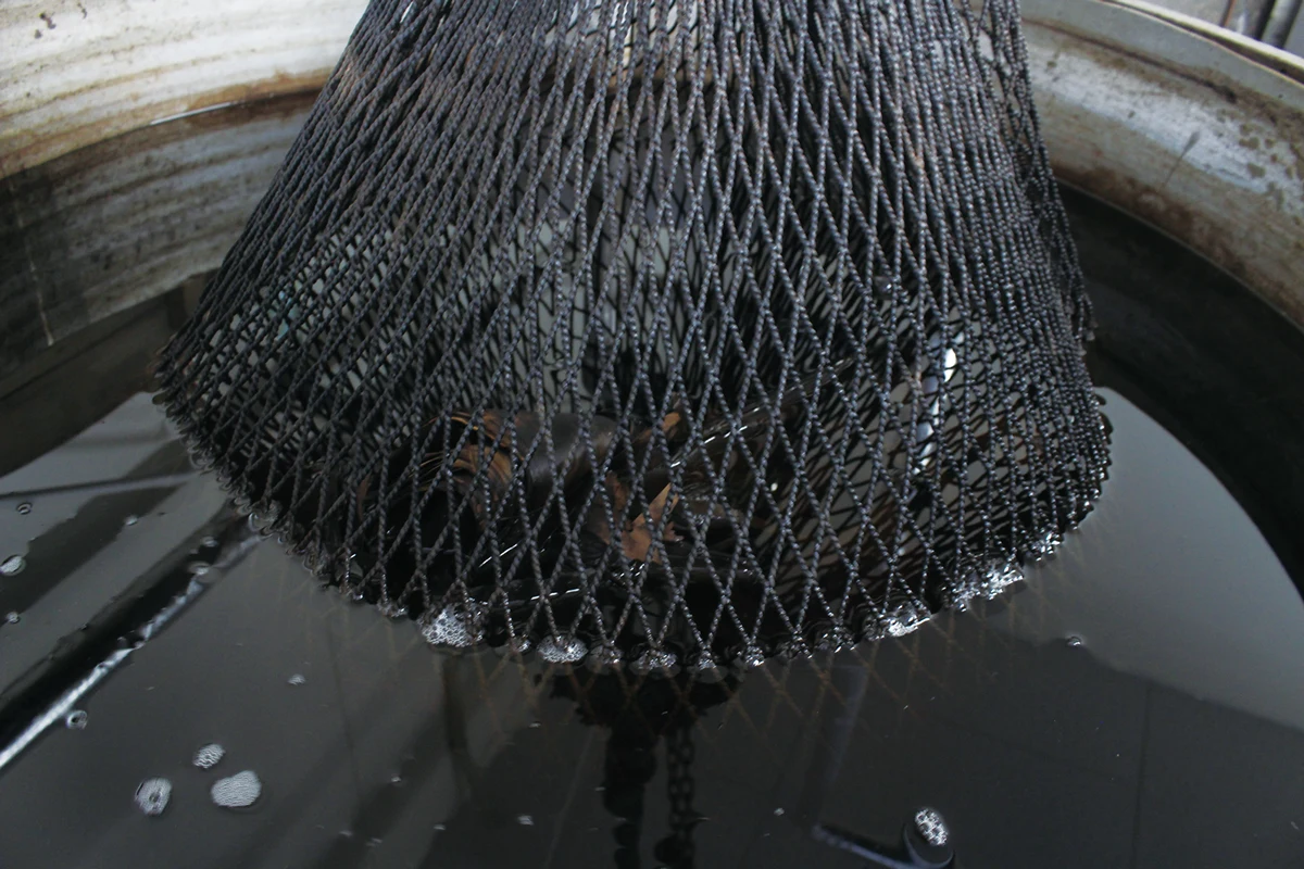 屋久杉染めの染料