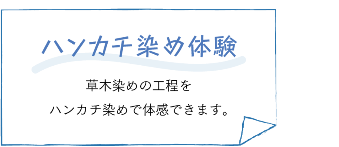 ハンカチ染め体験　草木染めの工程をハンカチ染めで体感できます。