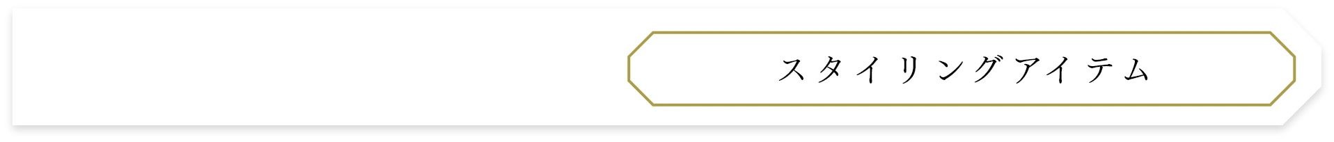 スタイリングアイテム