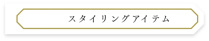スタイリングアイテム