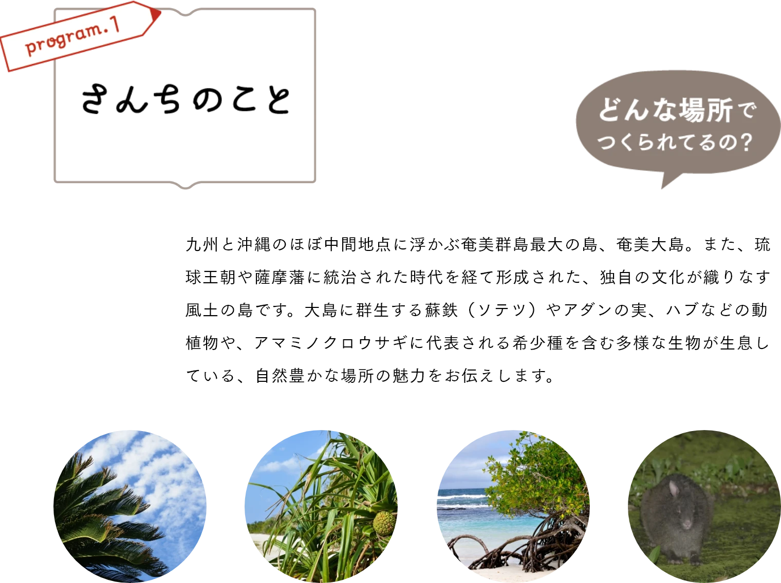 さんちのこと 九州と沖縄のほぼ中間地点に浮かぶ奄美群島最大の島、奄美大島。また、琉球王朝や薩摩藩に統治された時代を経て形成された、独自の文化が織りなす風土の島です。大島に群生する蘇鉄(ソテツ)やアダンの実、ハブなどの動植物や、アマミノクロウサギに代表される希少種を含む多様な生物が生息している、自然豊かな場所の魅力をお伝えします。