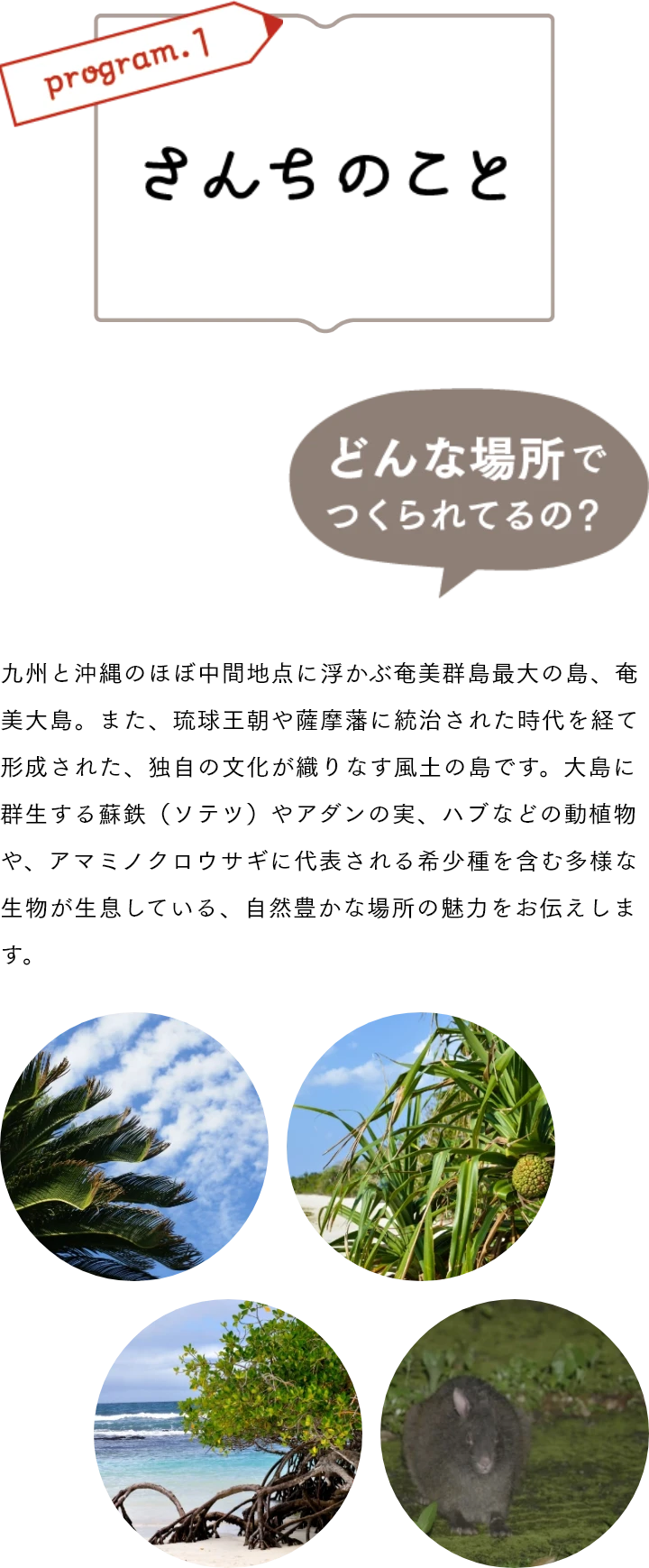 さんちのこと 九州と沖縄のほぼ中間地点に浮かぶ奄美群島最大の島、奄美大島。また、琉球王朝や薩摩藩に統治された時代を経て形成された、独自の文化が織りなす風土の島です。大島に群生する蘇鉄(ソテツ)やアダンの実、ハブなどの動植物や、アマミノクロウサギに代表される希少種を含む多様な生物が生息している、自然豊かな場所の魅力をお伝えします。