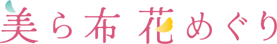 美ら布 花めぐり