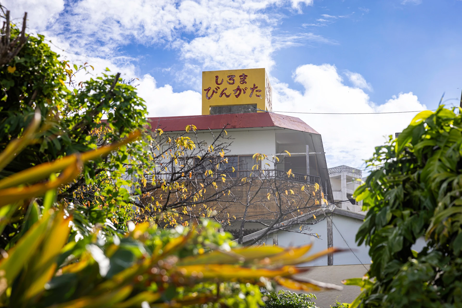 城間びんがた工房で働く人々インタビュー