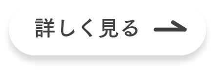 詳しく見る