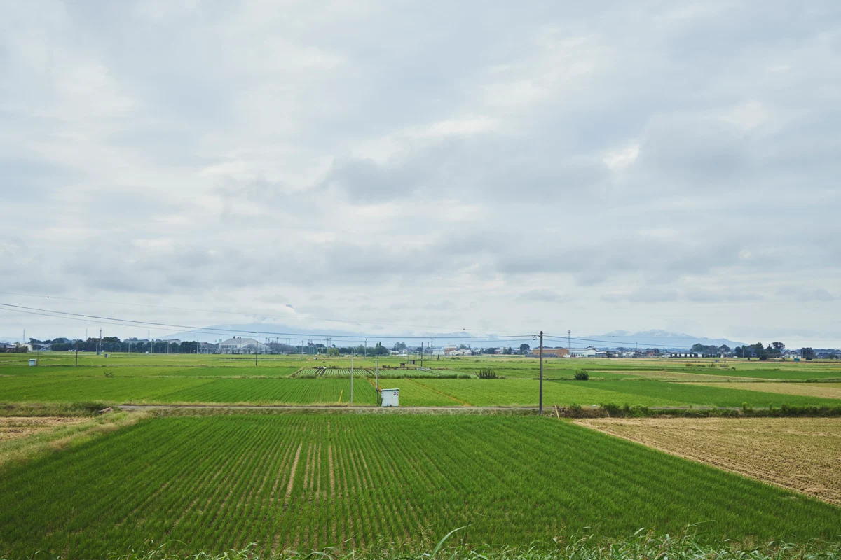 結城