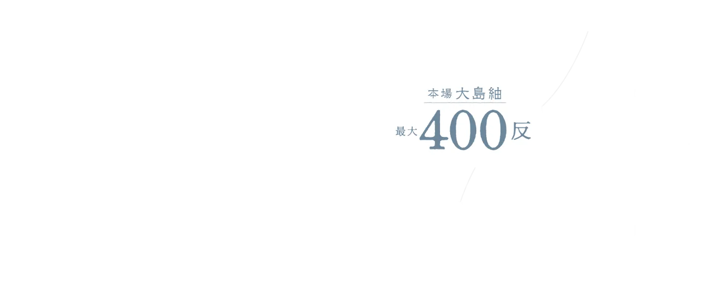 本場大島袖 匠の技と自然の恵みが織り成す、緻密さと色の深みを追求した袖