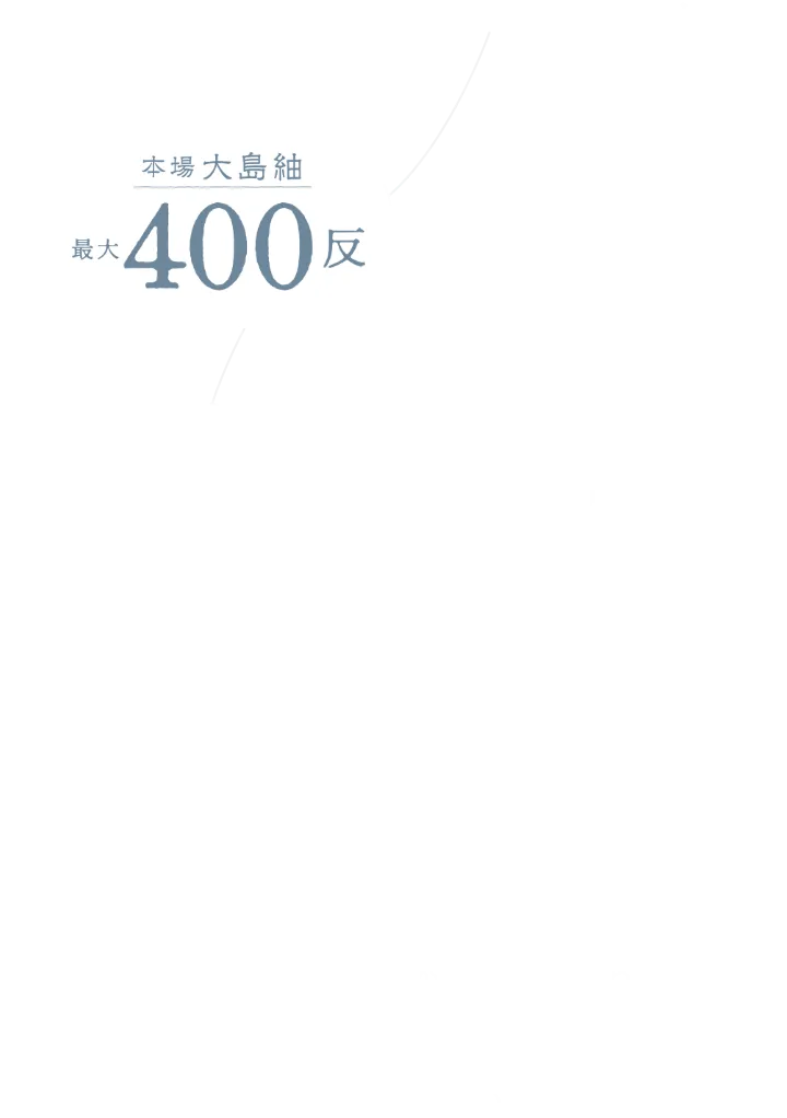 本場大島袖 匠の技と自然の恵みが織り成す、緻密さと色の深みを追求した袖