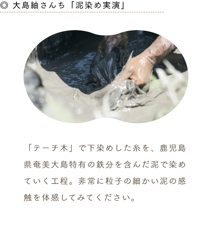 ◎ 大島紬さんち「泥染め実演」 「テーチ木」で下染めした糸を、鹿児島県奄美大島特有の鉄分を含んだ泥で染めていく工程。非常に粒子の細かい泥の感触を体感してみてください。