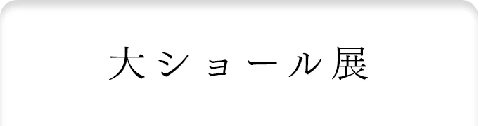 大ショール展